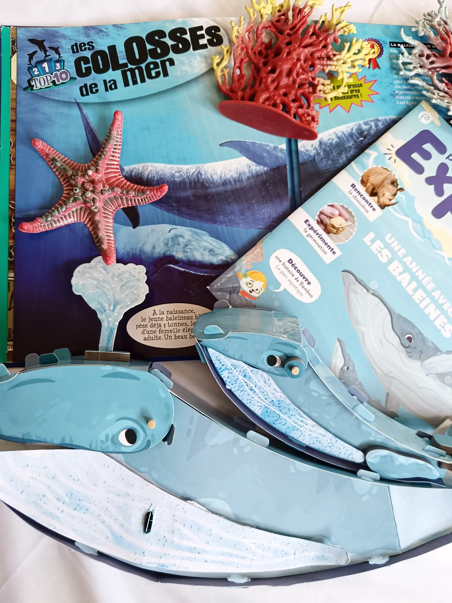 Instagram post by @elo_enjoyslife for Pandacraft. Caption reads: COLLABORATION COMMERCIALE NON RÉMUNÉRÉE....