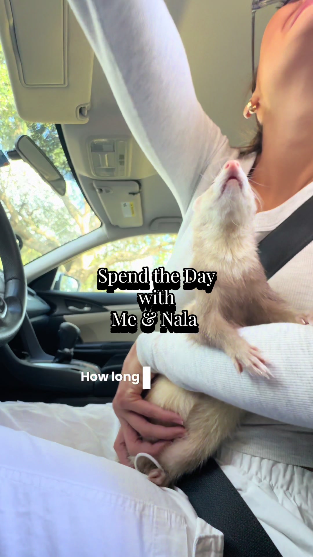 TikTok post by @moonthecinnamonferret for Lowe's. Caption reads: Come with Nala & I to find some ferret-proofing....
