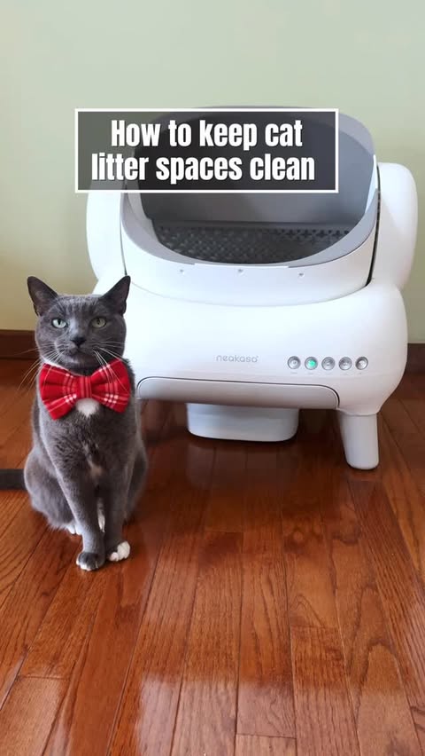 Instagram post by @purrfectinfluencer for Neakasa. Caption reads: Shop the Neakasa M1 Automatic Litter System today....