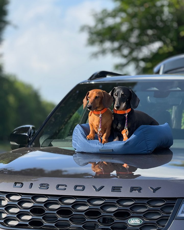 Instagram post by @pacos.place for Land Rover. Caption reads: @goodwoofdogs with @landrover 🧡 An incredible....