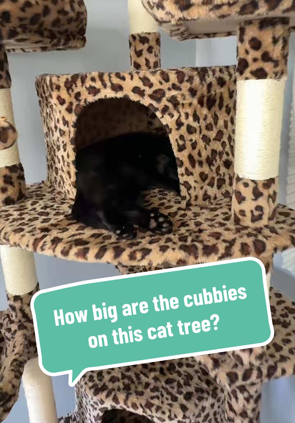 TikTok post by an influencer for Hoomic. Caption reads: [...] space to stretch out. @HOOMIC #cattree....