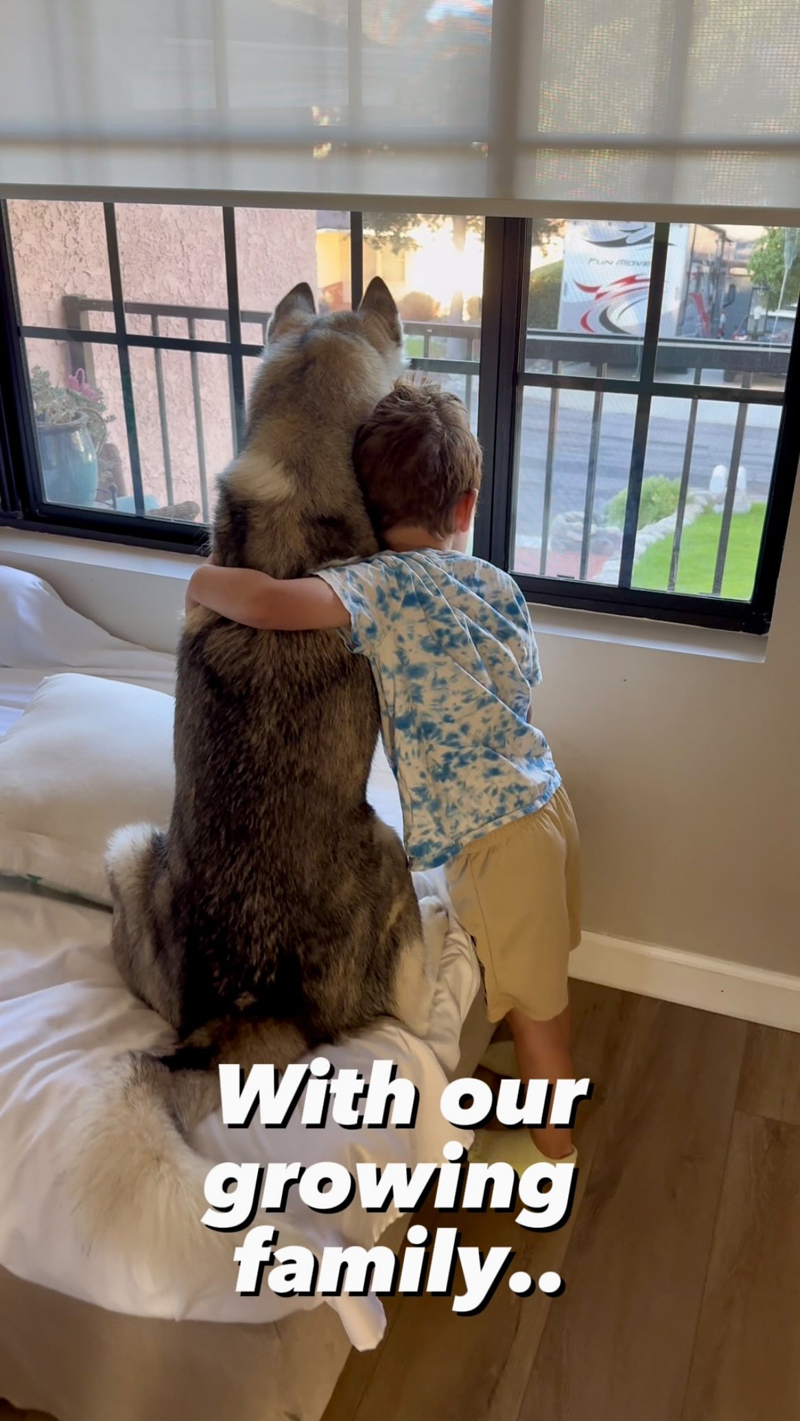 Instagram post by @thathuskytheo for Vetnique. Caption reads: With our growing family, Theo’s days are busier....