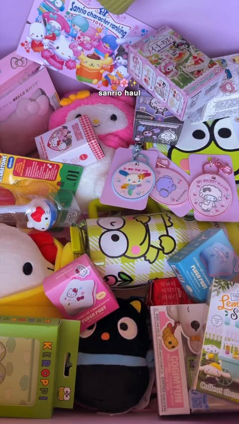 Instagram post by @sheselle for Sanrio. Caption reads: forever a sanrio girly 💗💫 a quick haul of [...].