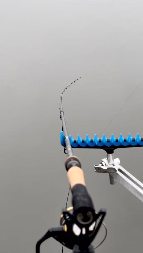 Instagram post by @shimano_aero for Shimano. Caption reads: 🎅💯 ———————————————————— #FishShimano,....