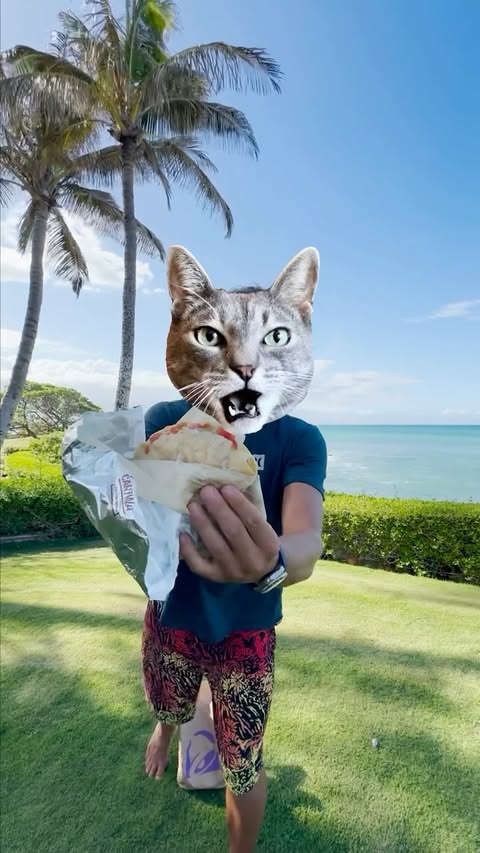 Instagram post by @kai_lenny for Taco Bell. Caption reads: [...] to the test! So excited to review the....