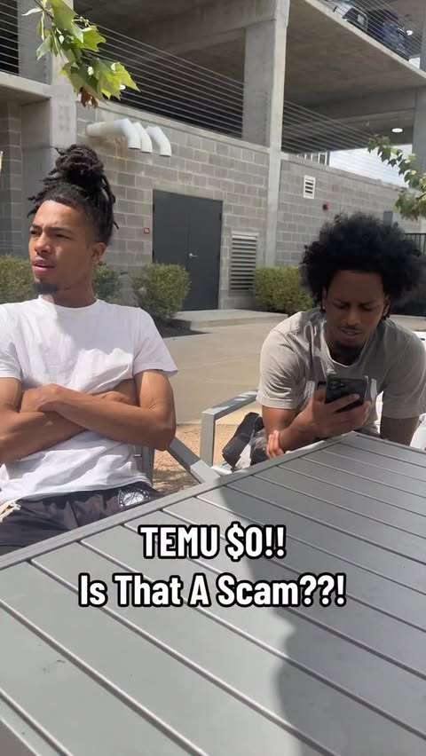 Instagram post by @rnstrayyy for Temu. Caption reads: @shoptemu has some great $0 items i highly....