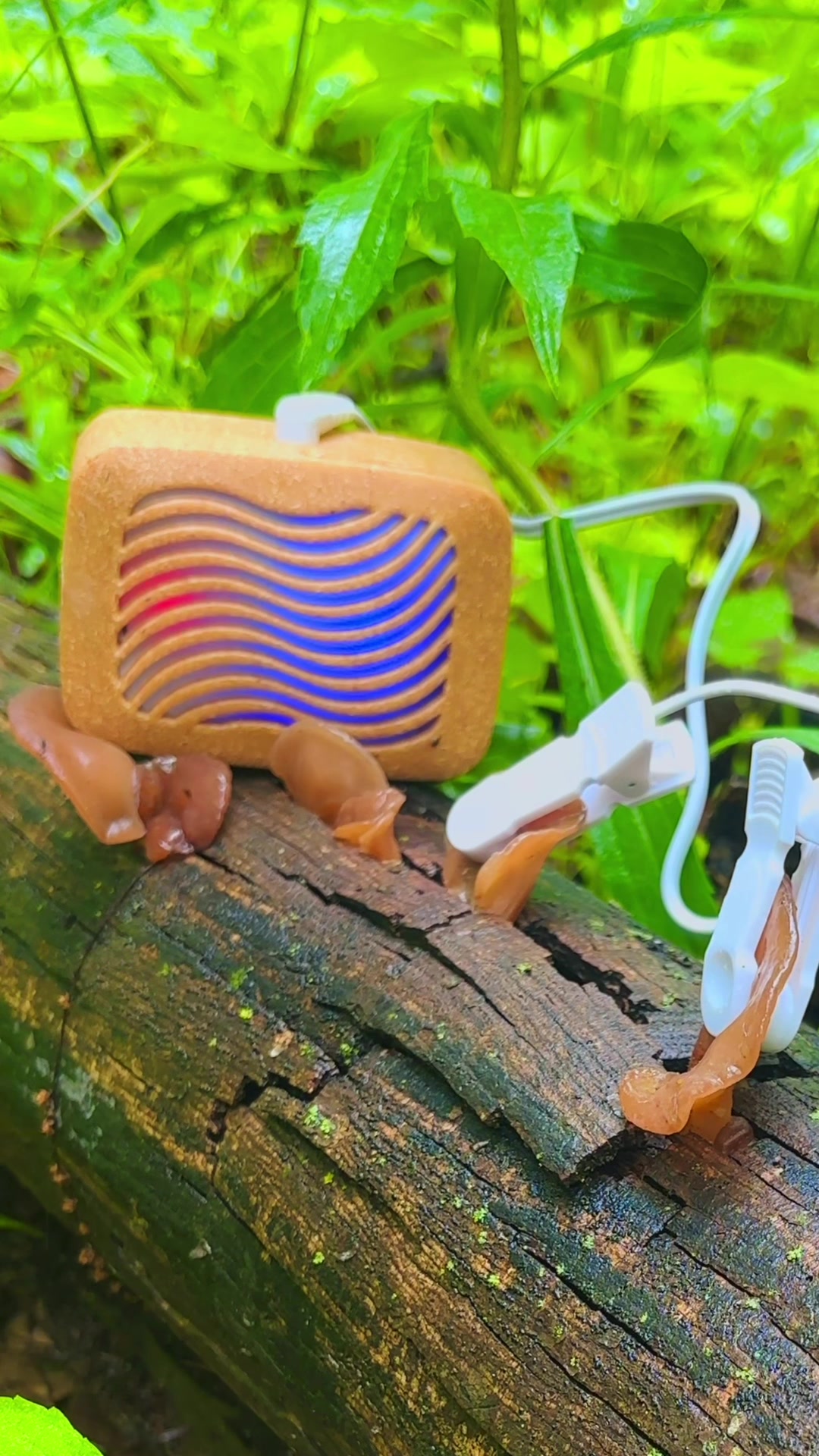 TikTok post by @chaoticforager for PlantWave. Caption reads: [...] to sing? This little device called a....