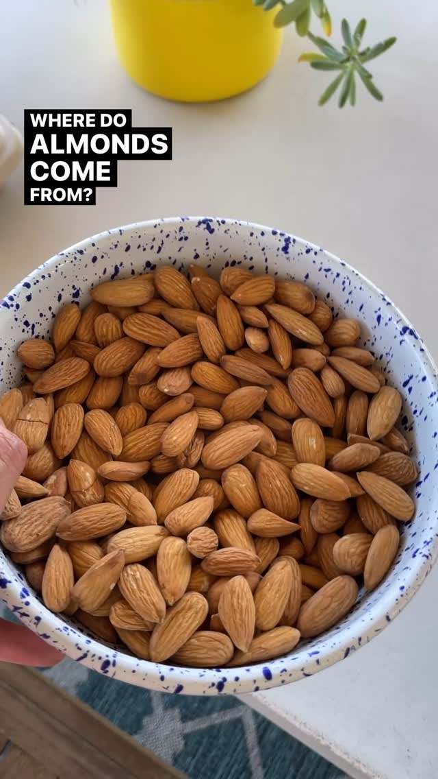 Instagram post by @itstylerchanel for Almond EU. Caption reads: #ad This city girl spent the day on the almond....