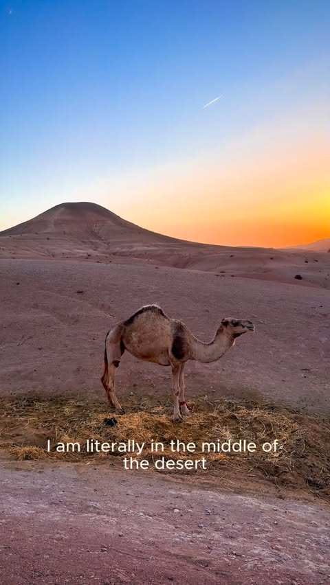 Instagram post by @butnomatter.theroadislife for Holafly. Caption reads: In the middle of the desert… and still connected....