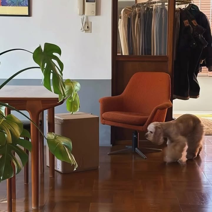 Instagram post by @a___bemi for Nordic Nest Japan. Caption reads: .
@nordicnest.jp....