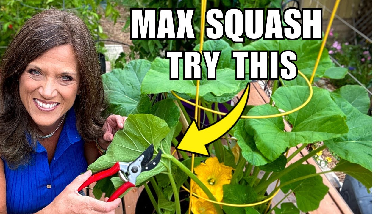 YouTube post by @CaliKim29 for Smart Pot. Caption reads: How to Prune Squash: Maximum Harvests, Less Space.