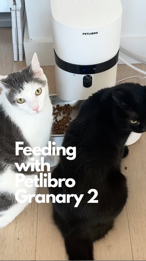 Instagram post by @girlsandtheircats for PETLIBRO. Caption reads: @petlibro collaborated with us to share how the....