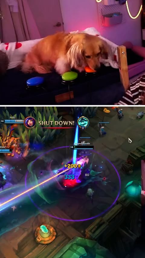 Instagram post by @poopernoodle_ for League of Legends. Caption reads: [...] out some new special moves 🤣....