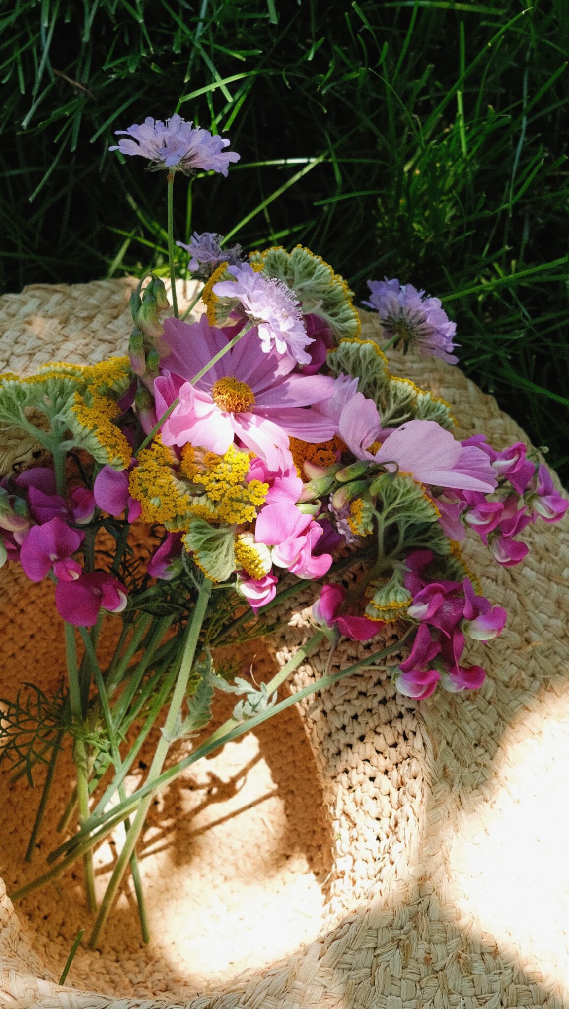 Instagram post by @apkipps for Ferry-Morse. Caption reads: #ad | The most magical time of the year is here....