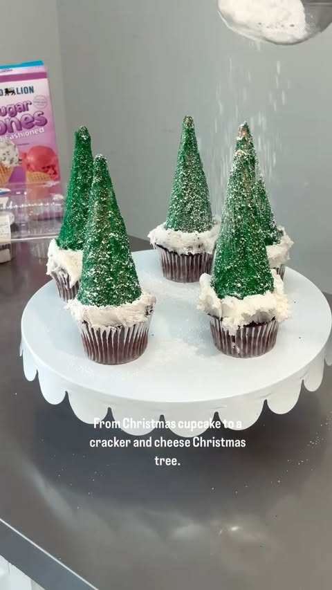 Instagram post by @daynagirlworld1 for Food Lion. Caption reads: @foodlion 
Save BIG this Christmas with Food [...].