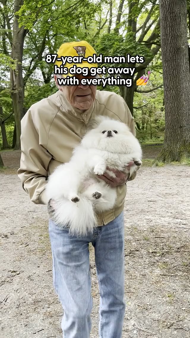 Instagram post by @dadanddolly for The Dodo. Caption reads: He parades her through town like the princess she....