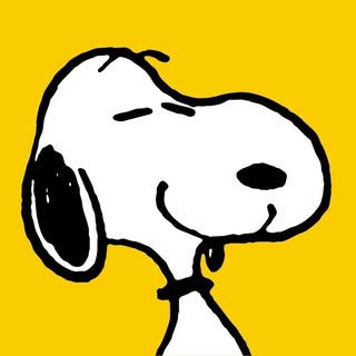 Snoopy and The Peanuts Gang