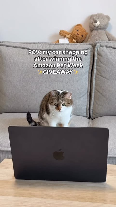 Instagram post by @suki_purrs for Solid Gold Pet. Caption reads: #ad Solid Gold Amazon Pet Week Giveaway is LIVE!....