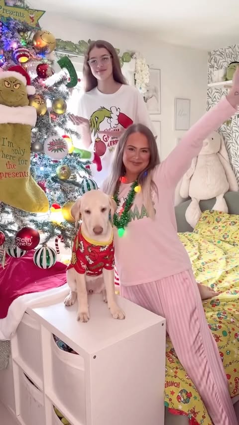 Instagram post by @jessysdreamhouse for Home Bargains. Caption reads: 🎄💚 Grinchmas with @homebargains 💚🎄 
.
Summer....