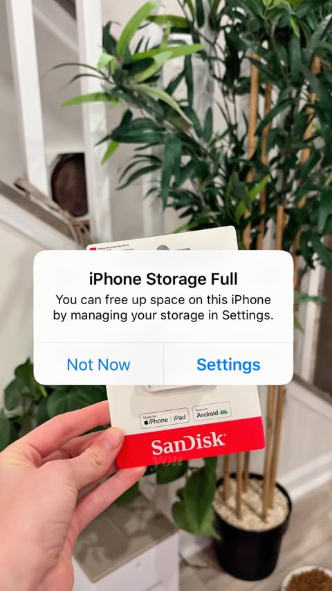Instagram post by @alytheslp for SanDisk. Caption reads: [...] creators and selfie enthusiasts 🤳🤪 Sandisk....