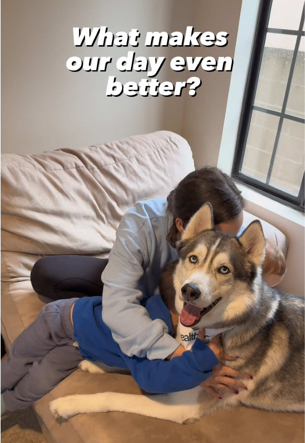 TikTok post by @thathuskytheo for PetSmart. Caption reads: [...] Paws Pet Insurance , the official @PetSmart....