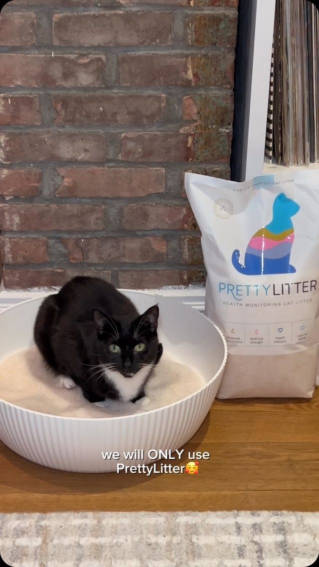 Instagram post by @itskormenia for Prettylitter. Caption reads: PrettyLitter is my girls’ fave😻 

Use my code....