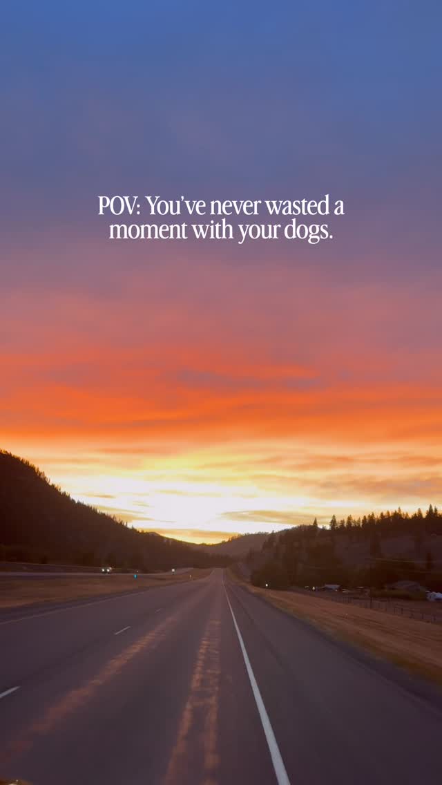 Instagram post by @findyoursummit for Best Western. Caption reads: [...] a dream. Evenings we came home to the Best....