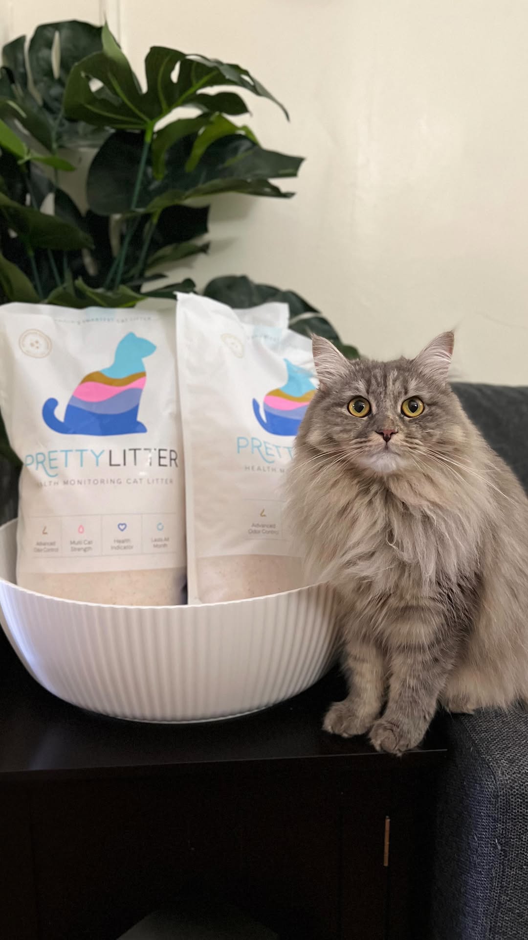 Instagram post by @sprinklethesiberian for Prettylitter. Caption reads: Do you want to know our secret to being a happy....