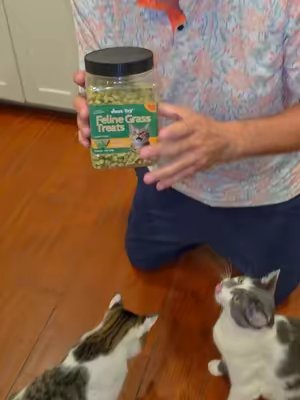 TikTok post by @zardeloscupones for Just Try Pet US. Caption reads: snacks saludables para gatitos @Just Try Pet US....