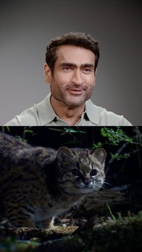 Instagram post by @kumailn for National Geographic. Caption reads: [...] 😌 Stream these National Geographic shows....