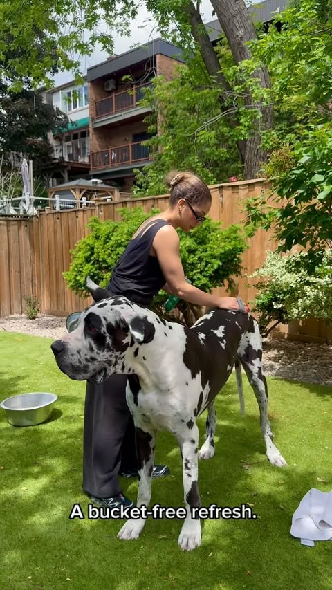 Instagram post by @huckleberry.ca for Earth Rated. Caption reads: [...] dog day calls for a full bath. 🫧 🐶....