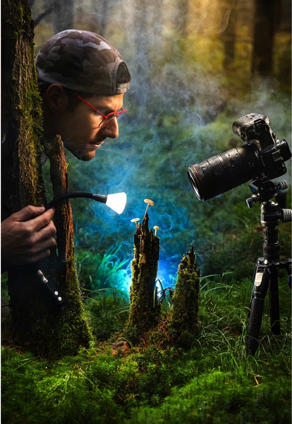 TikTok post by @danielaucoinfineart for amaran. Caption reads: [...] self-portrait in the forest using the amaran....