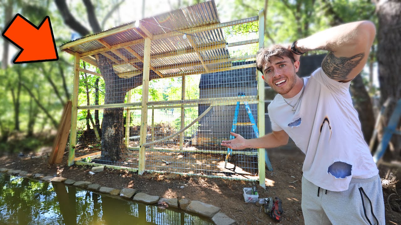 YouTube post by @Finatic for Zeelool. Caption reads: Building NEW MASSIVE Enclosure for Baby Mommas....