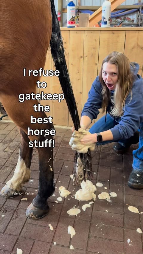 Instagram post by @doublezfarm for Vetericyn. Caption reads: [...] How to wash a horse tail with the @vetericyn....