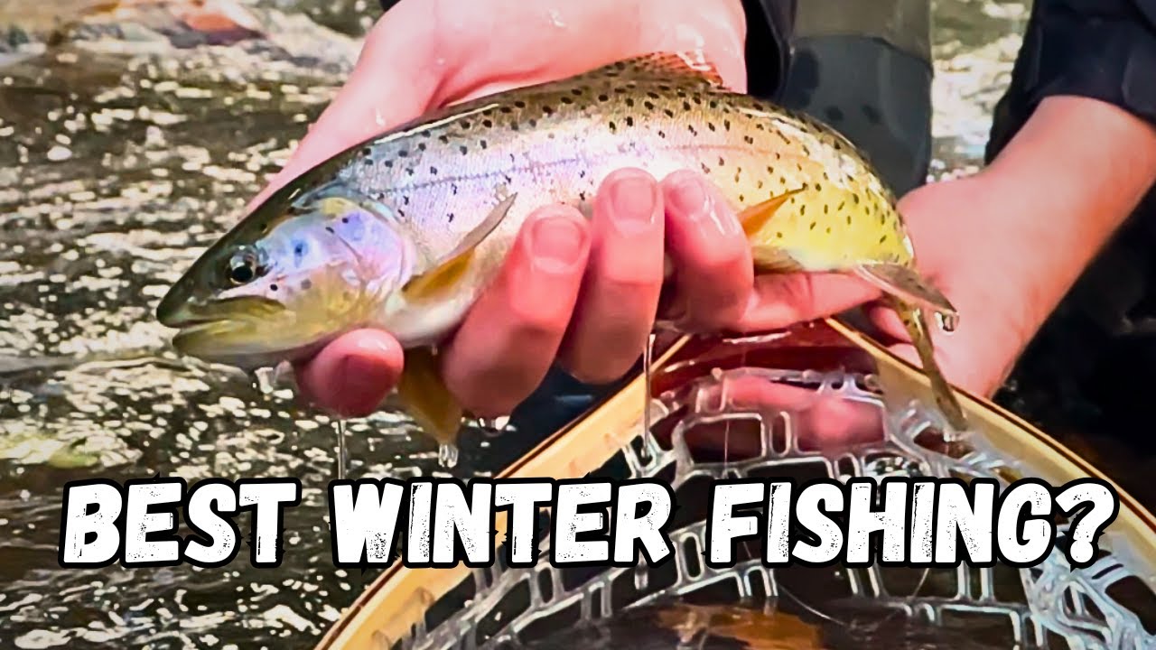 YouTube post by @UtahFishingChannel for TruDave Gear. Caption reads: Utah’s Best Winter Fishing: Tenkara Basics.