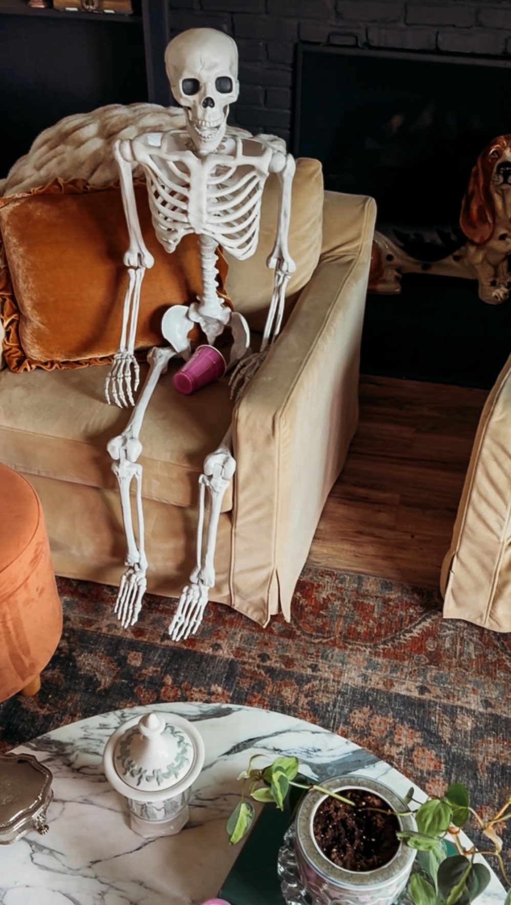 Instagram post by @therurallegend for iRobot. Caption reads: Meet Roobin, my official clean up crew 

#ad....