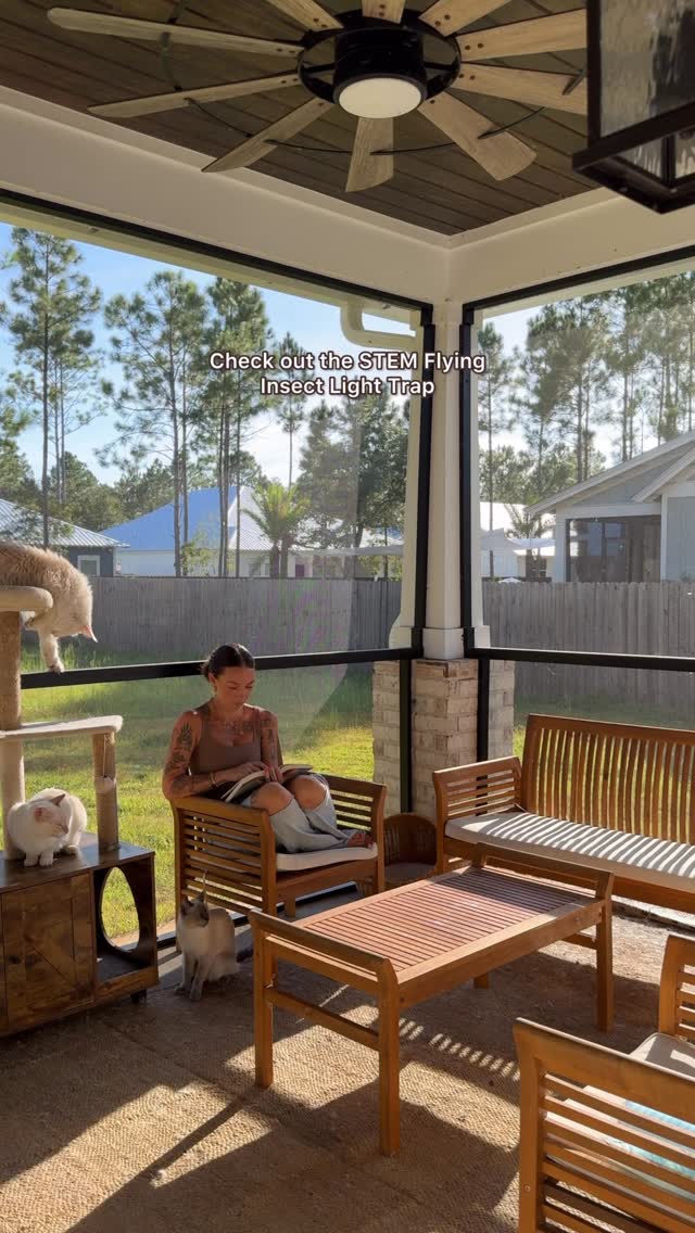 Instagram post by @through.the.lleaves for STEMforBugs. Caption reads: #STEMPartner We finally screened in the patio for....