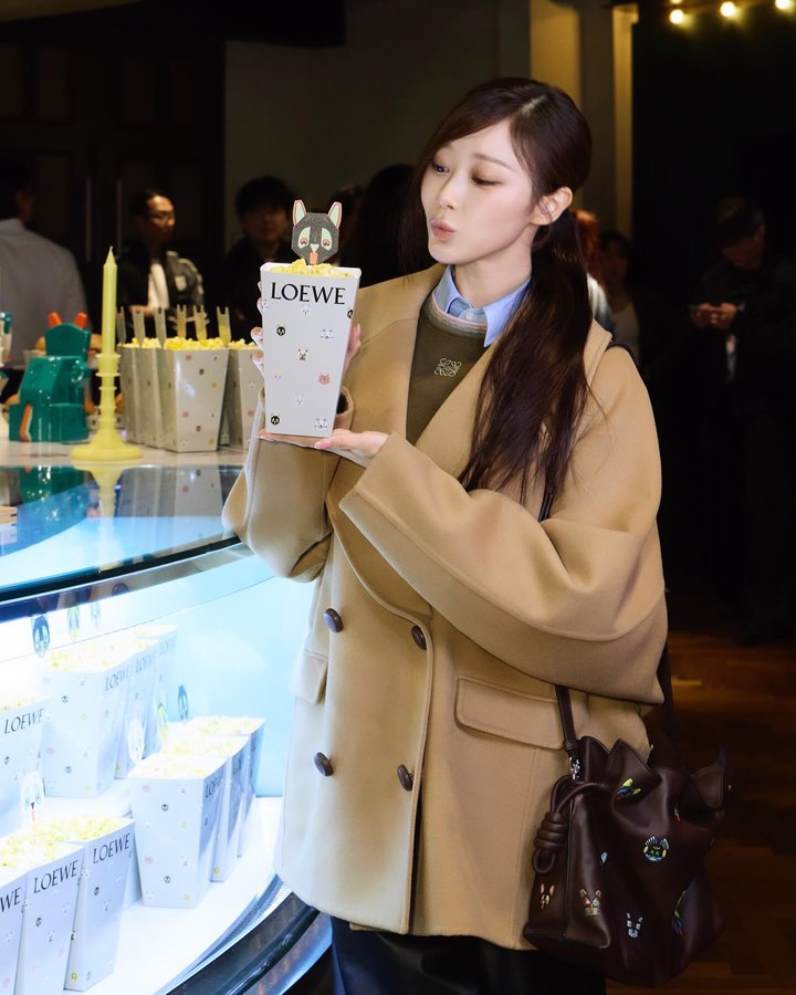 Instagram post by @aerichandesu for LOEWE. Caption reads: @loewe #LOEWESS26
🐈‍⬛🐈.