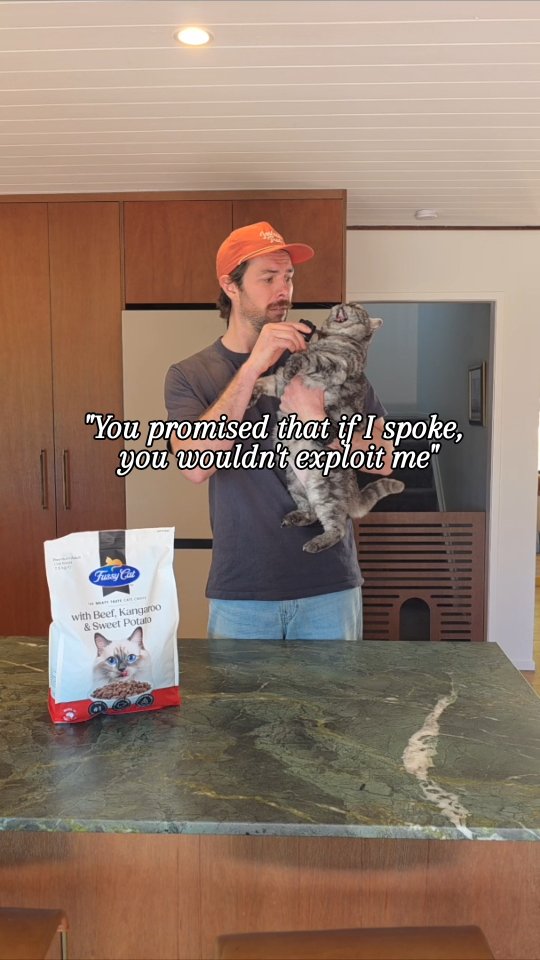 Instagram post by @clintstagramm for Fussy Cat NZ. Caption reads: The secret to my talking cat? @fussycat.nz, of....