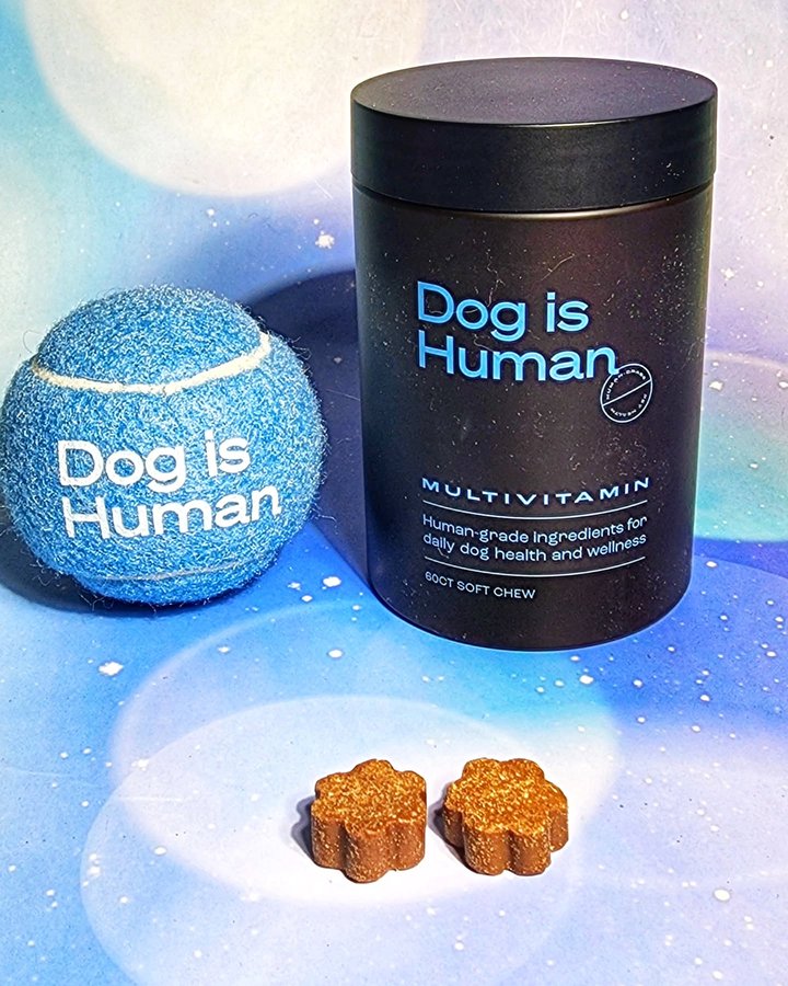 Instagram post by @alena07112 for Dog is Human. Caption reads: [...] you have an itchy dog? Then you need....