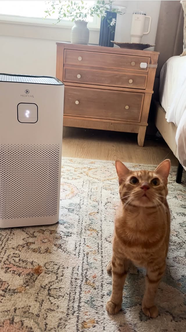 Instagram post by @a.dabbled.dwelling for Medify Air. Caption reads: [...] real upgrade is clean air! Thanks to....