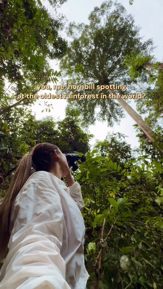 Instagram post by @aurevoirdarling for Ultra Violette. Caption reads: spot hornbills in the borneo rainforests at tawau....