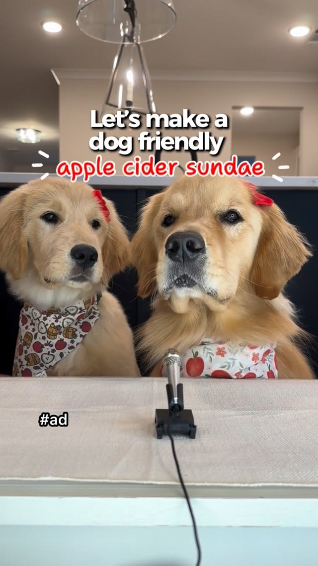 Instagram post by @pearl.the.golden.girl for Solid Gold Pet. Caption reads: #ad Are you going to make this for your pup? 🍎🥰....