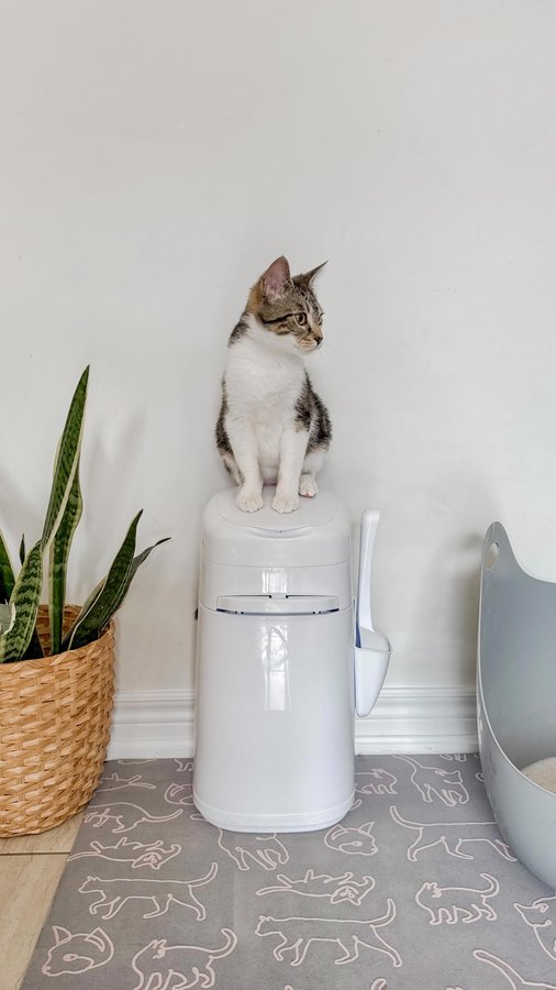 Instagram post by @valeriecoon for Litter Genie. Caption reads: The Litter Genie Design Pail is designed for the....