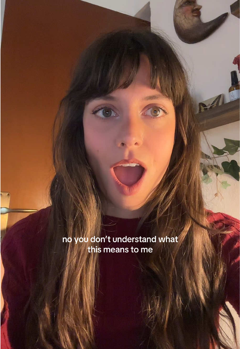 TikTok post by @quinthebooks for Vinted. Caption reads: @Vinted for the love of god please be next....