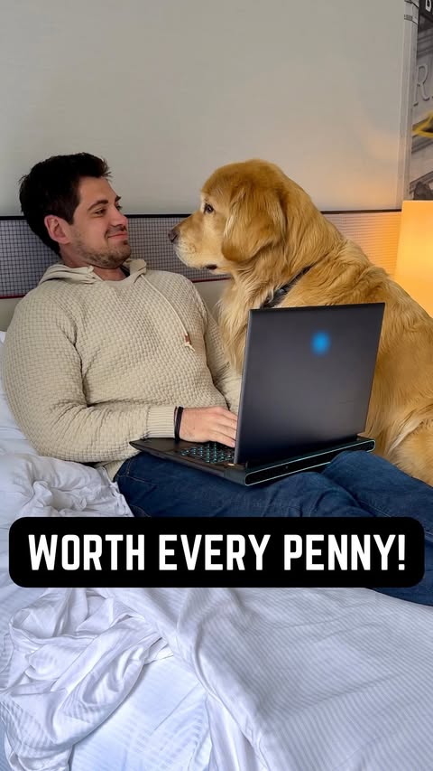 Instagram post by @marleyinnyc for blue buffalo. Caption reads: [...] penny!🥰 #mansbestfriend #BlueBuffaloPartner....