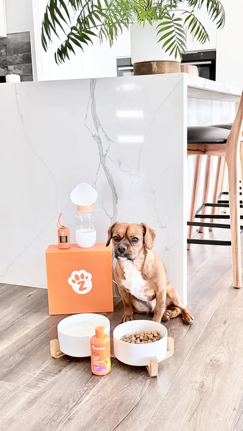 Instagram post by @ginger_lipari_ for Zesty Paws. Caption reads: [...] Pawsome Omega Boost Starter Pack from....