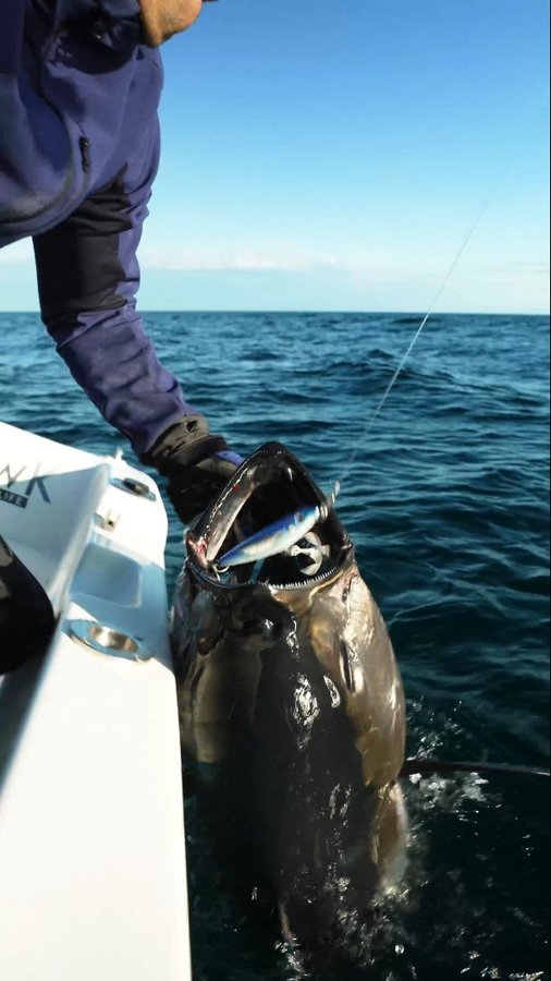 Instagram post by @divateamfishing for Mustad Fishing. Caption reads: Locked 🔒 powered by Jaw Lok In-Line Treble....