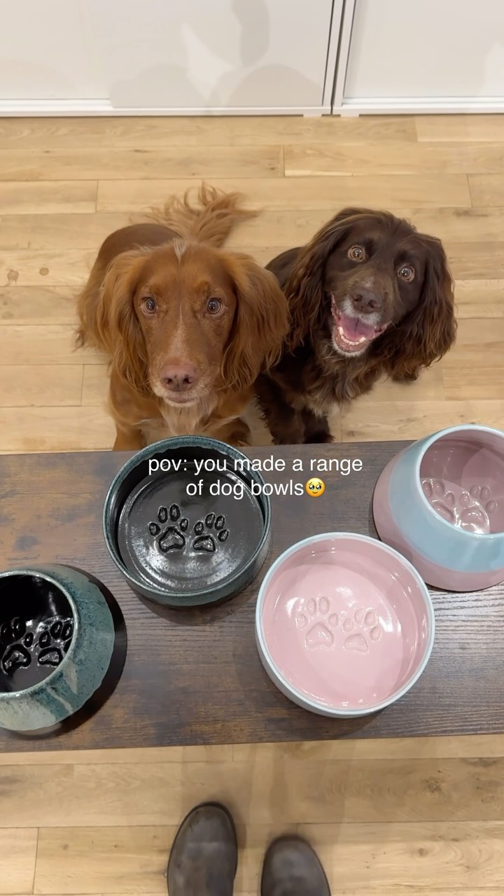 Instagram post by @theedinburghspaniels for Forthglade. Caption reads: truly hand(and paw)made 🐾❤️

so so so happy to....