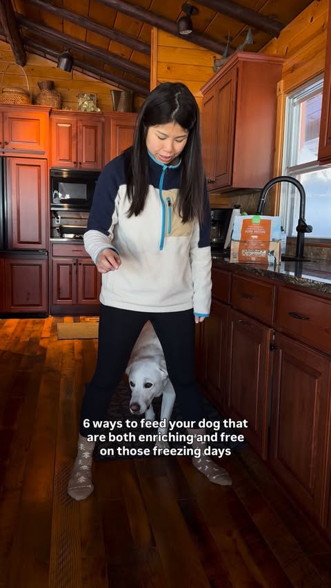 Instagram post by @lostwithbuzz for Open Farm Pet. Caption reads: [...] legs in the hallway I love using....